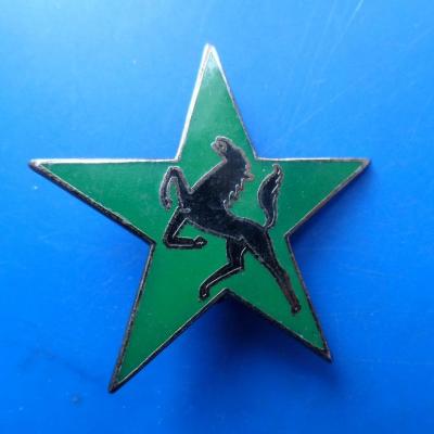 5 division blindee escadron d eclairage divisionnaire