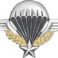 Brevet parachutiste 3