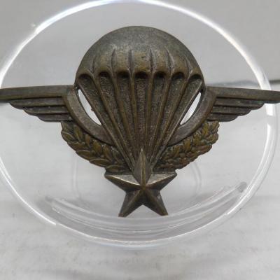 Brevet parachutiste vierge