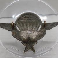 Brevet parachutiste vierge 1