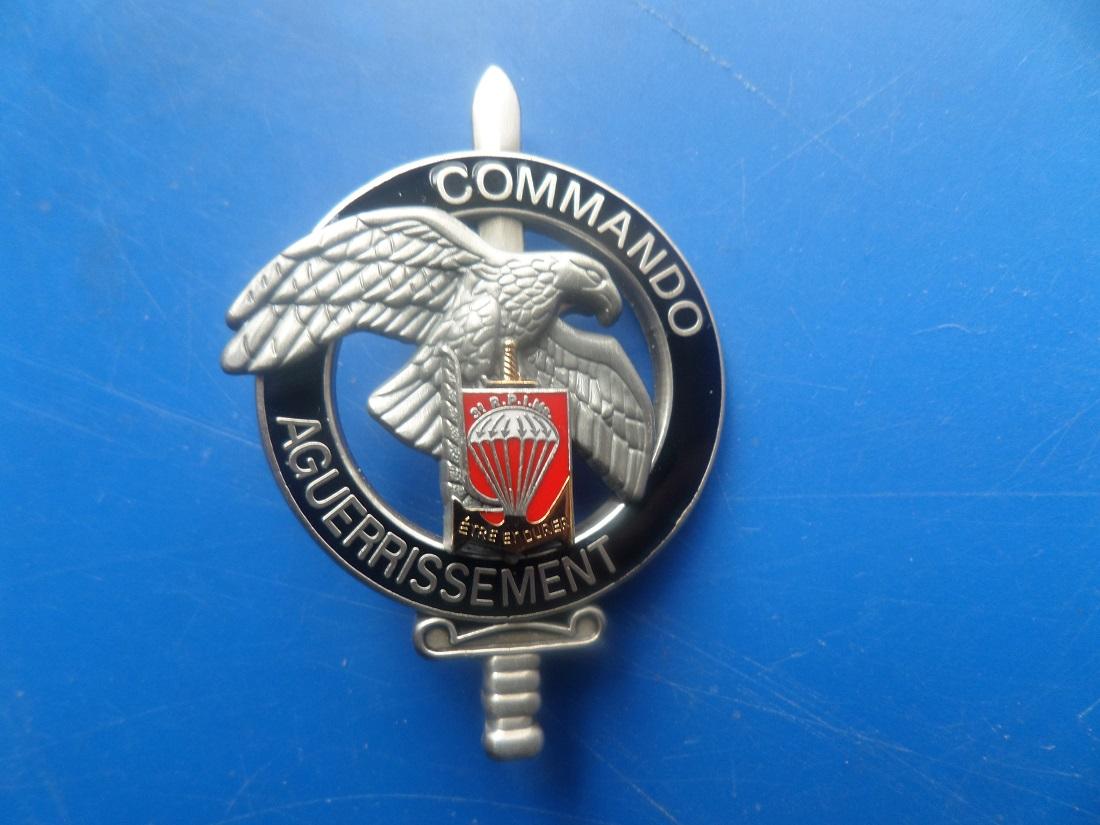 Commando aguerrissement 3 rpima