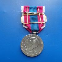 Defense nationale echelon argent barrette ex yougoslavie 1