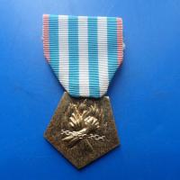 Medaille de l internement