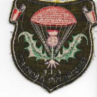 Patch cic parachutisme du nord est 2