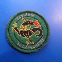 Patch division salamandre