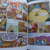 Tome 3 asterix 3